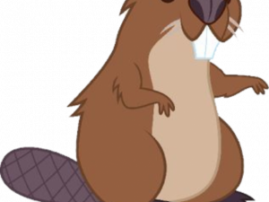 Beaver PNG Free Image