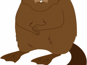 Beaver PNG Picture