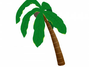 Coconut Tree Vector PNG File Download Free