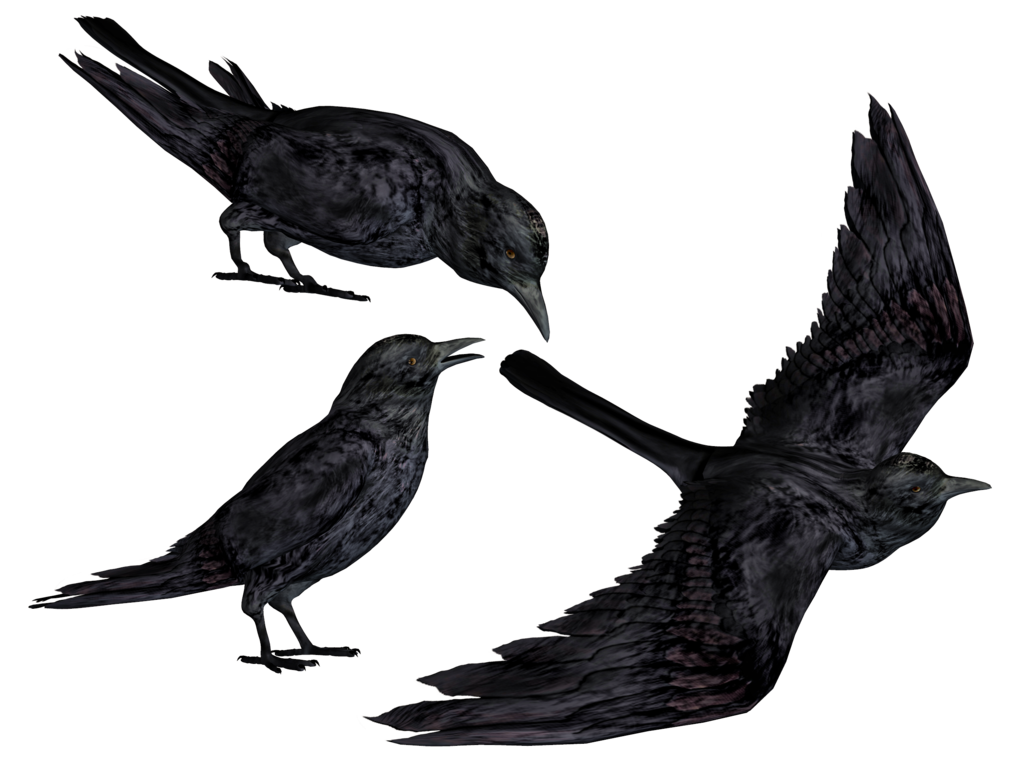 Wallpaper bird anime art Raven Kuroshitsuji Ciel Phantomhive dark  Butler images for desktop section прочее  download