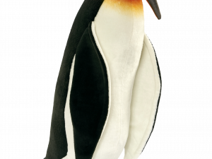 Emperor Penguin