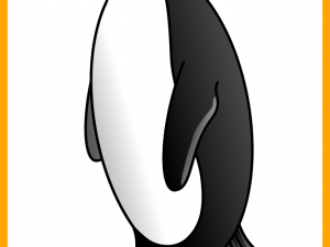 Emperor Penguin Bird PNG Free Download