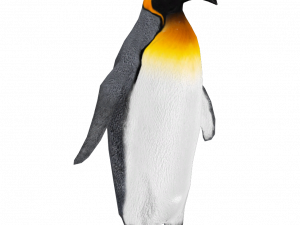 Emperor Penguin Bird PNG Image