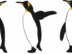 Emperor Penguin Bird PNG Image File