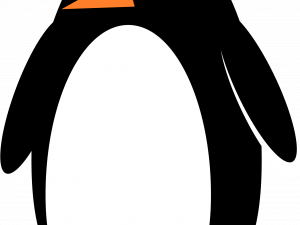 Emperor Penguin Bird PNG Pic