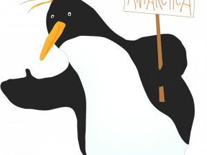 Emperor Penguin Bird PNG Picture