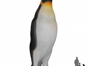 Emperor Penguin Chick PNG Free Image