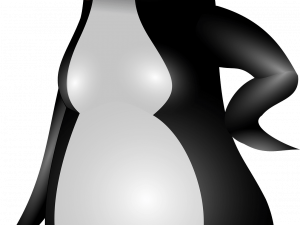 Emperor Penguin Chick PNG Picture