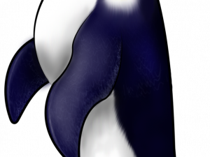 Emperor Penguin PNG Free Download