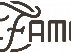 Fame Logo PNG File