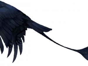 Flying American Crow PNG