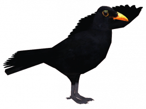 Flying Blackbird PNG Picture