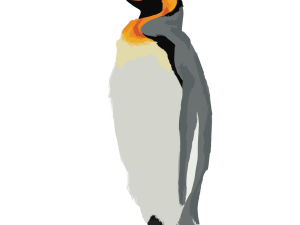 King Penguin Bird PNG Free Download