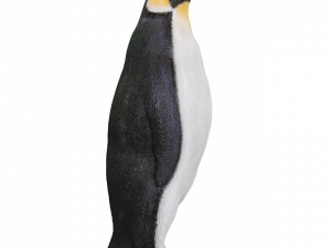 King Penguin PNG Free Download