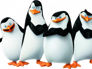 King Penguin PNG Image HD