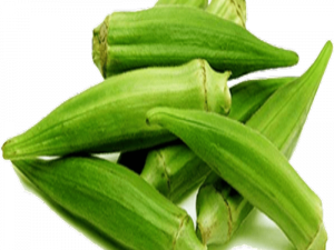 Lady Finger Okra PNG Cutout