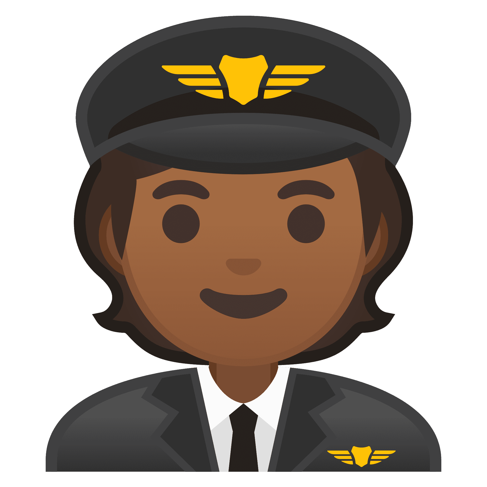 Vector pilote PNG Clipart