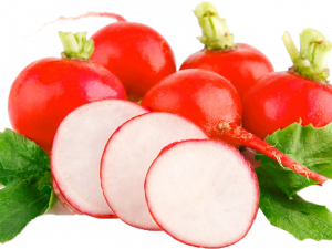 Radish PNG Free Image