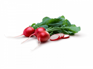 Radish PNG HD Image