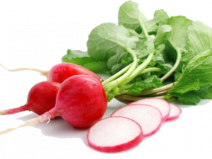 Radish PNG Picture