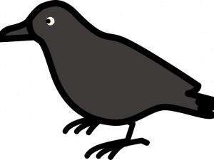 Rook Bird PNG Clipart