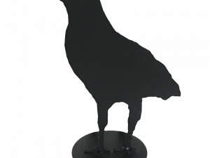 Sitting American Crow PNG High Quality Image