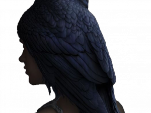 Sitting American Crow PNG Transparent HD Photo