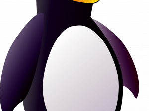 Standing King Penguin PNG Transparent HD Photo