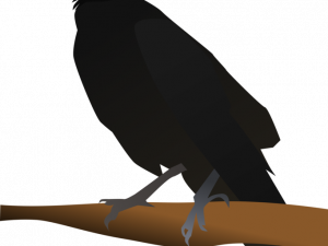 Vector American Crow PNG Image