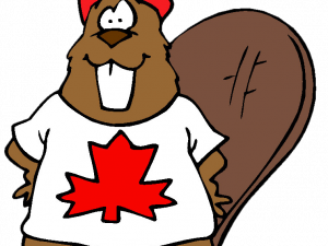 Vector Beaver PNG Image HD