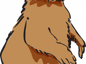 Vector Beaver PNG Images